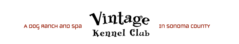 Vintage Kennel Club Sonoma